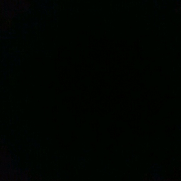 Meet your Posher, Wyatt - Picture 1 of 1